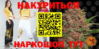 гашик Новокубанск