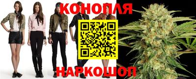 гашик Новокубанск