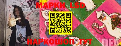 спиды Новодвинск