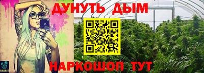 спиды Новодвинск