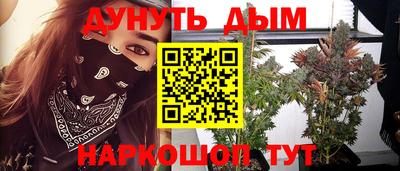 спиды Новодвинск