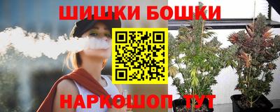 гашик Новокубанск