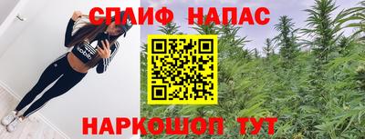спиды Новодвинск