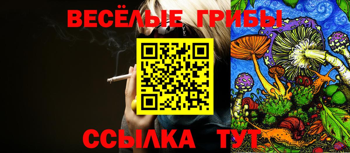 Галлюциногенные грибы мухоморы  Вход с VPN  Баксан 